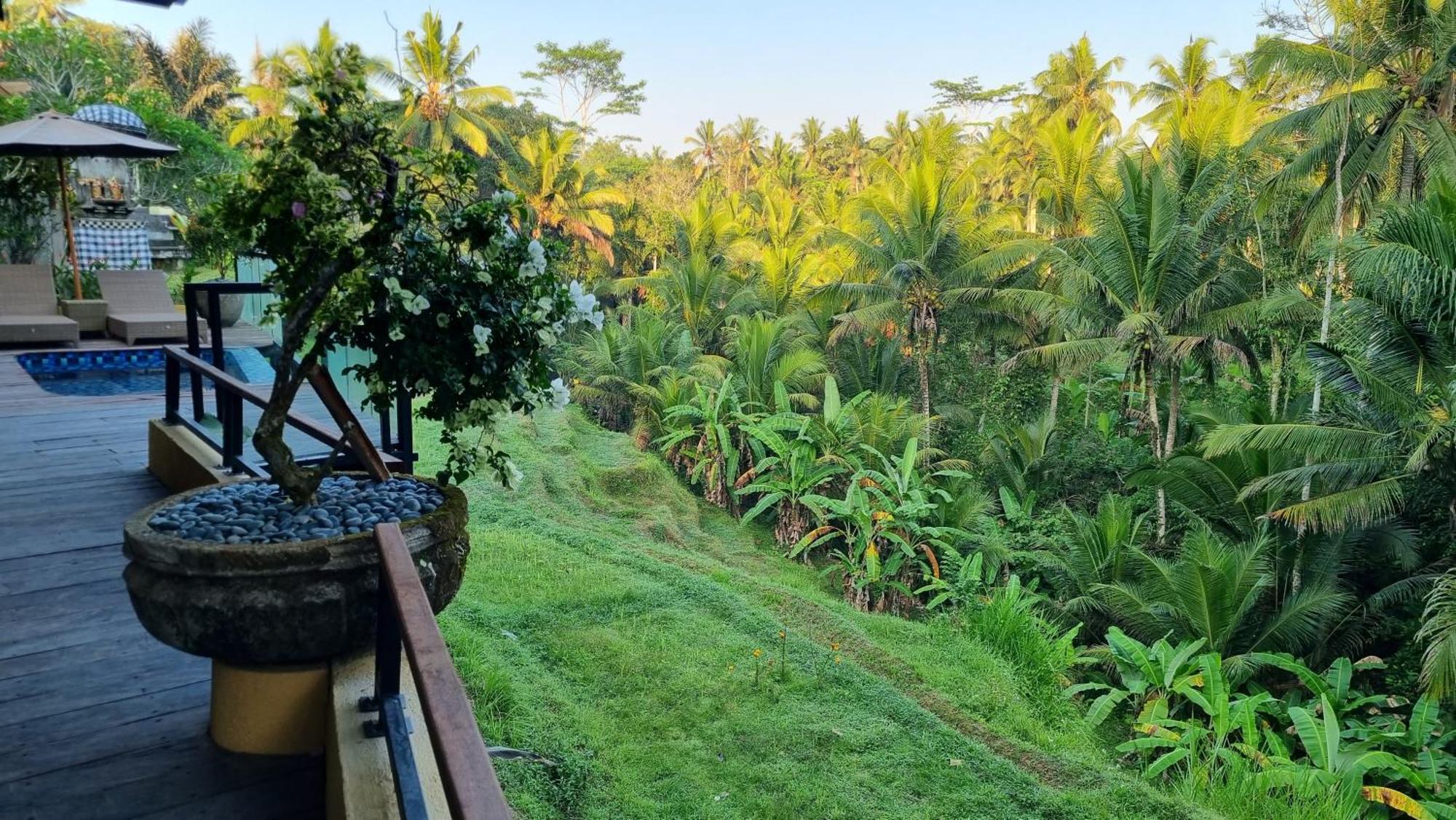 Puri Sebali Resort Ubud Exterior foto
