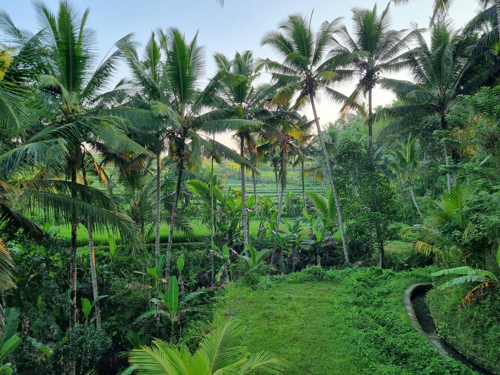 Puri Sebali Resort Ubud Exterior foto